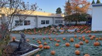 Morley School was transformed into a pumpkin patch on Friday October 27! A big thank you to Save on Foods for donating all of the pumpkins for our students to […]