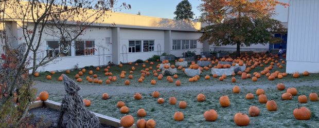 Morley School was transformed into a pumpkin patch on Friday October 27! A big thank you to Save on Foods for donating all of the pumpkins for our students to […]